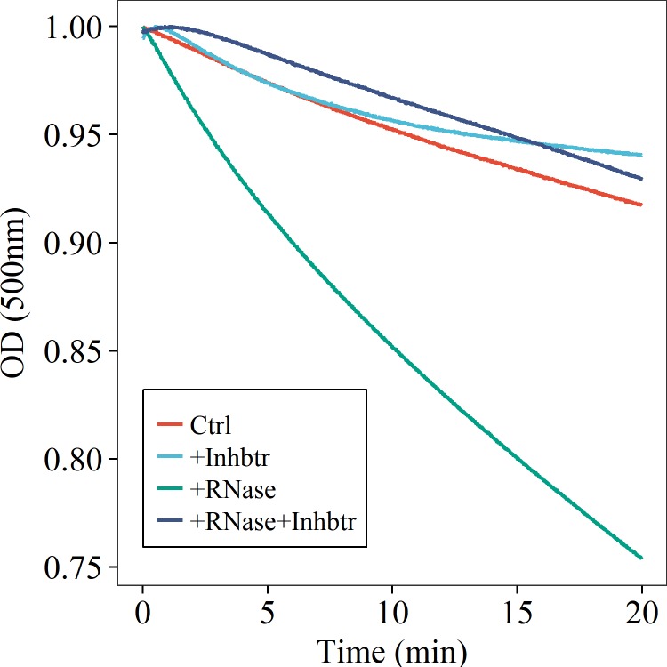 Figure 1—figure supplement 2.