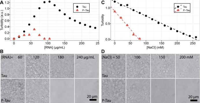 Figure 6—figure supplement 3.