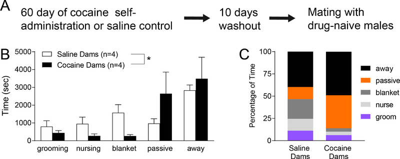 Figure 1: