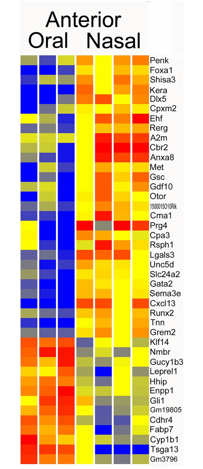 Fig 5