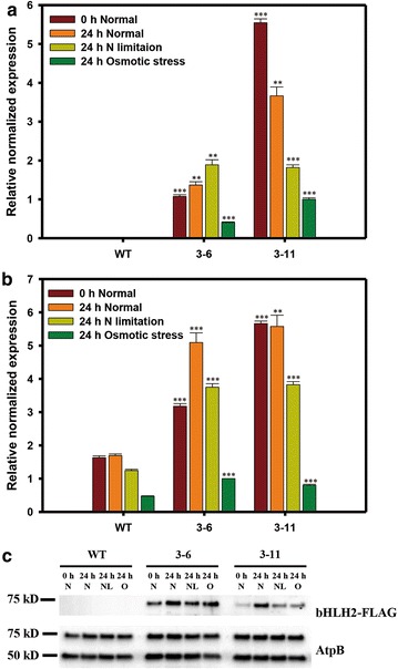 Fig. 2