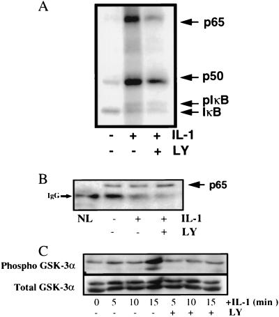 FIG. 6