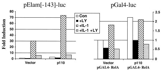 FIG. 7