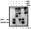 FIG. 5