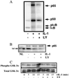 FIG. 6