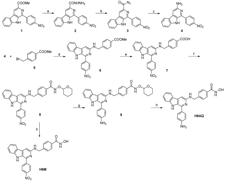 Scheme 1