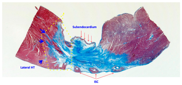 Figure 9