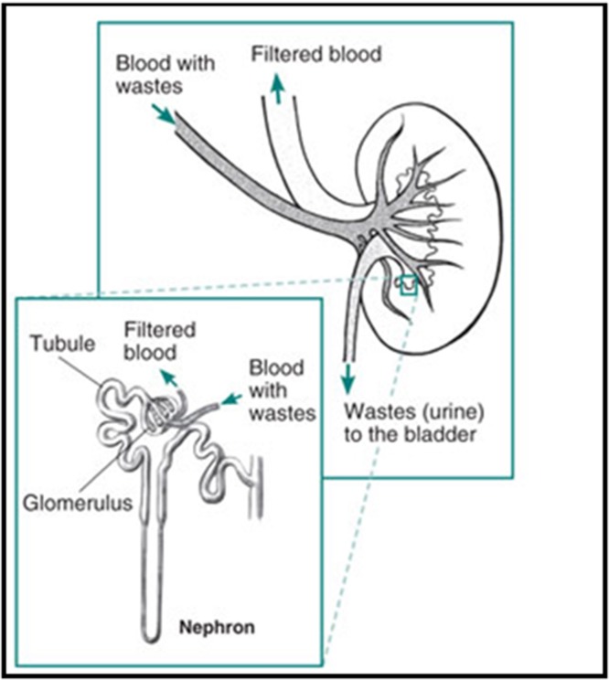 Fig. 10