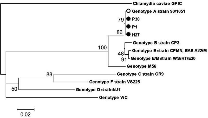 Fig. 1.