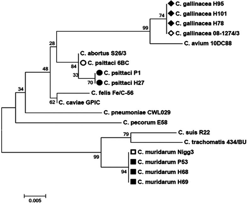 Fig. 2.