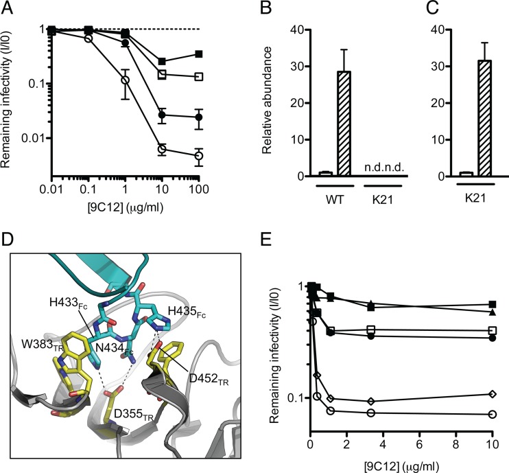 Fig 1