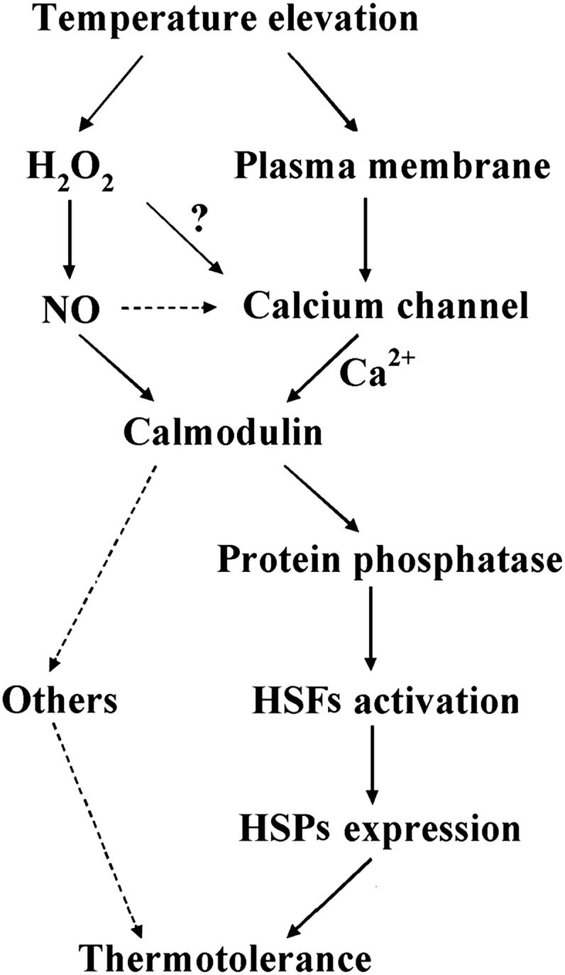 Figure 10.