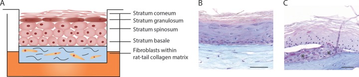 FIG 1