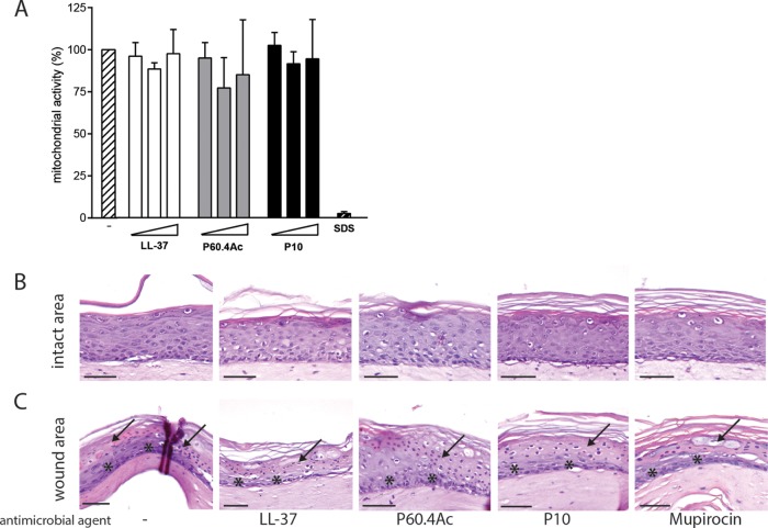 FIG 4