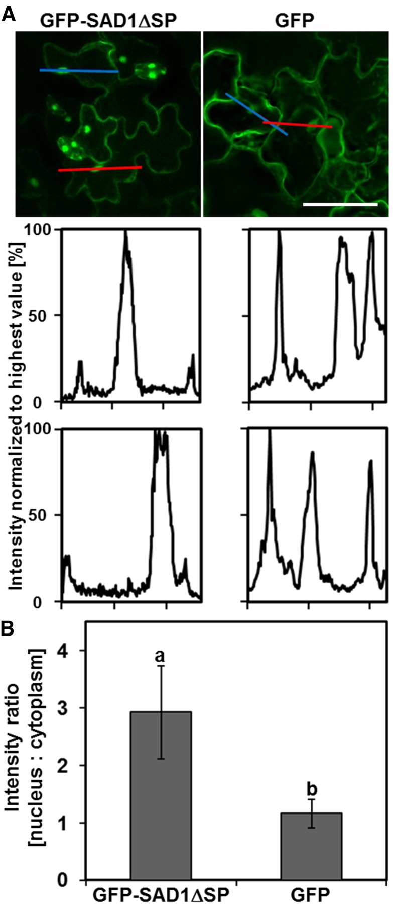 Figure 5.