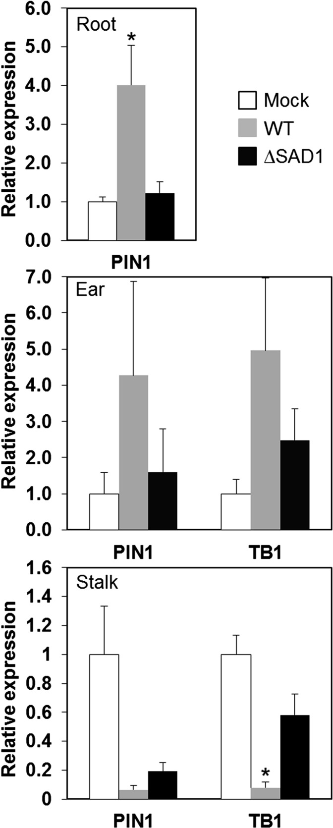 Figure 7.