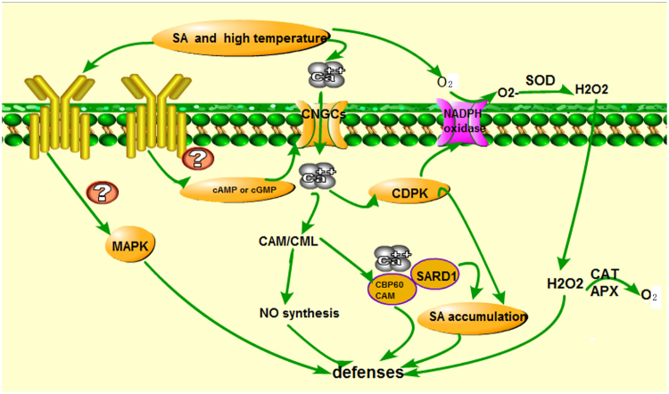 Figure 9