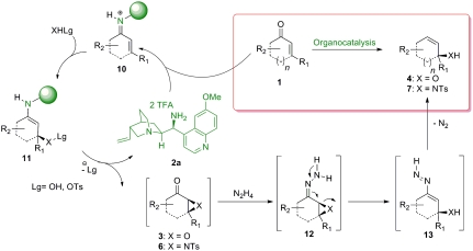 Scheme 6.