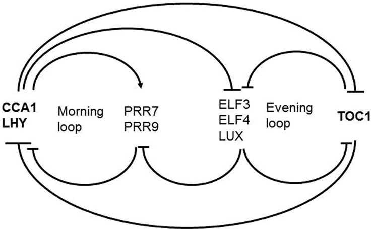 FIGURE 2