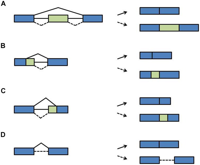 FIGURE 3