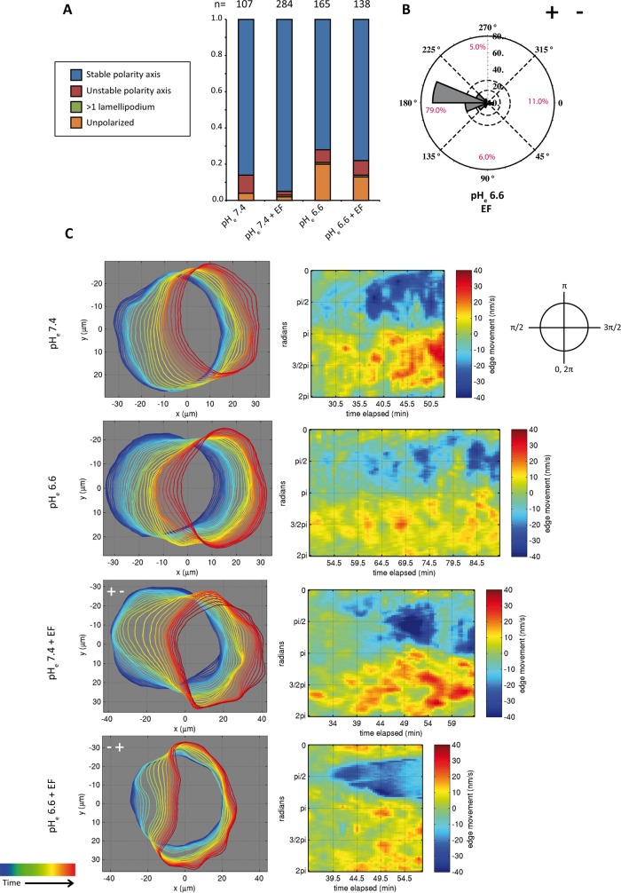 FIGURE 5: