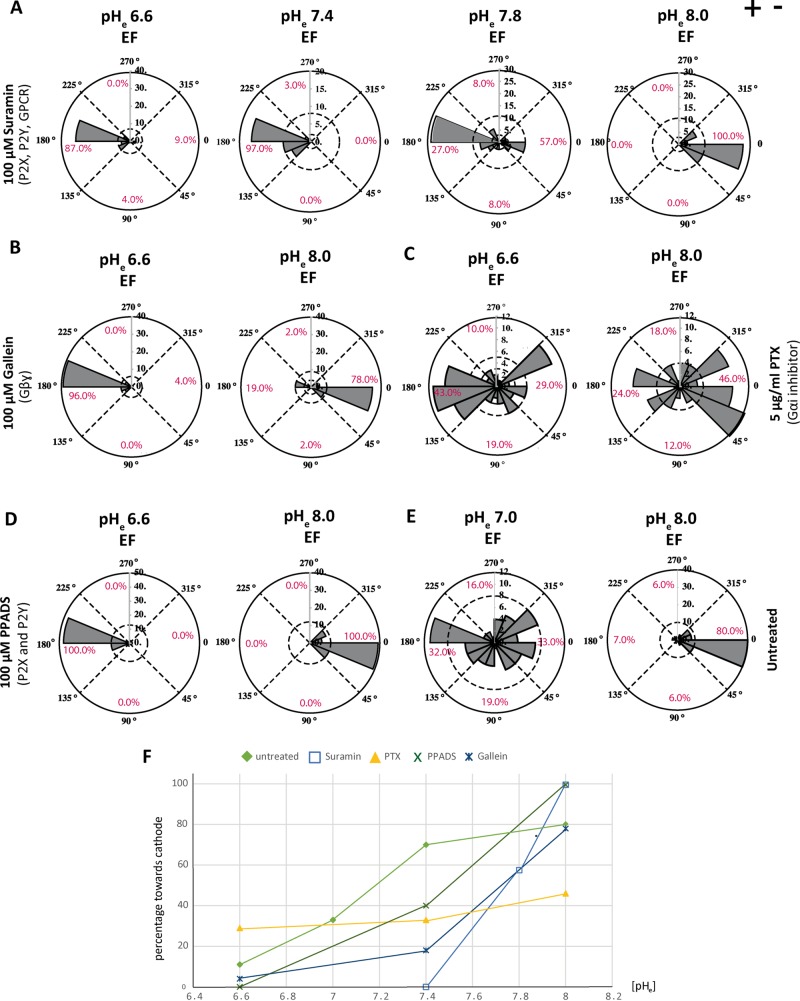 FIGURE 6: