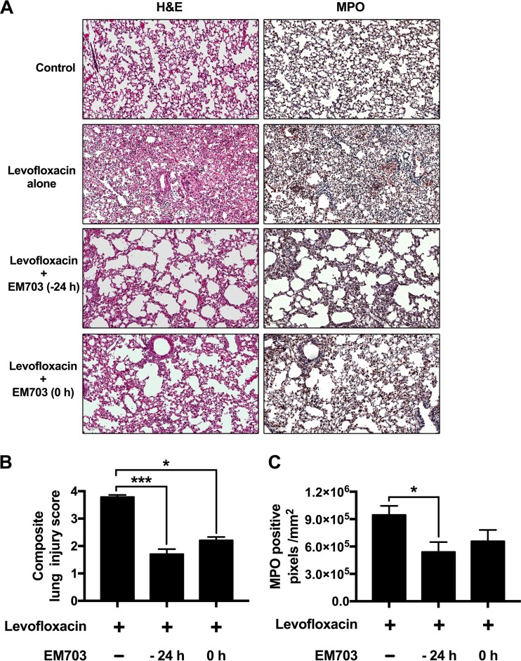 FIG 2