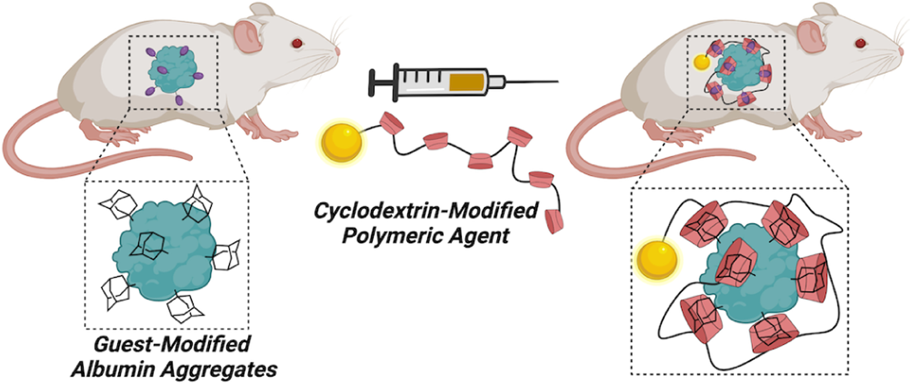 Figure 4: