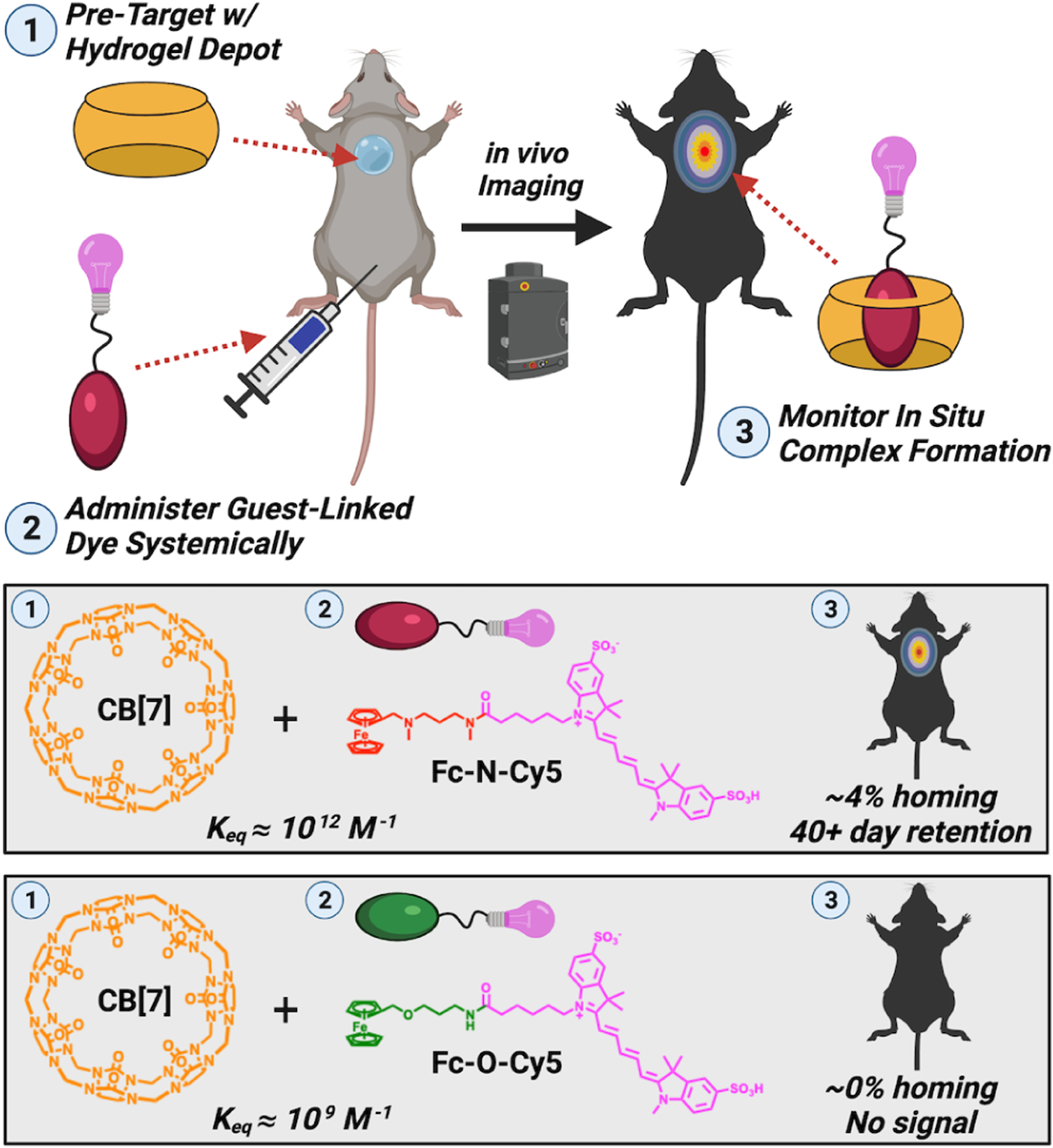 Figure 3: