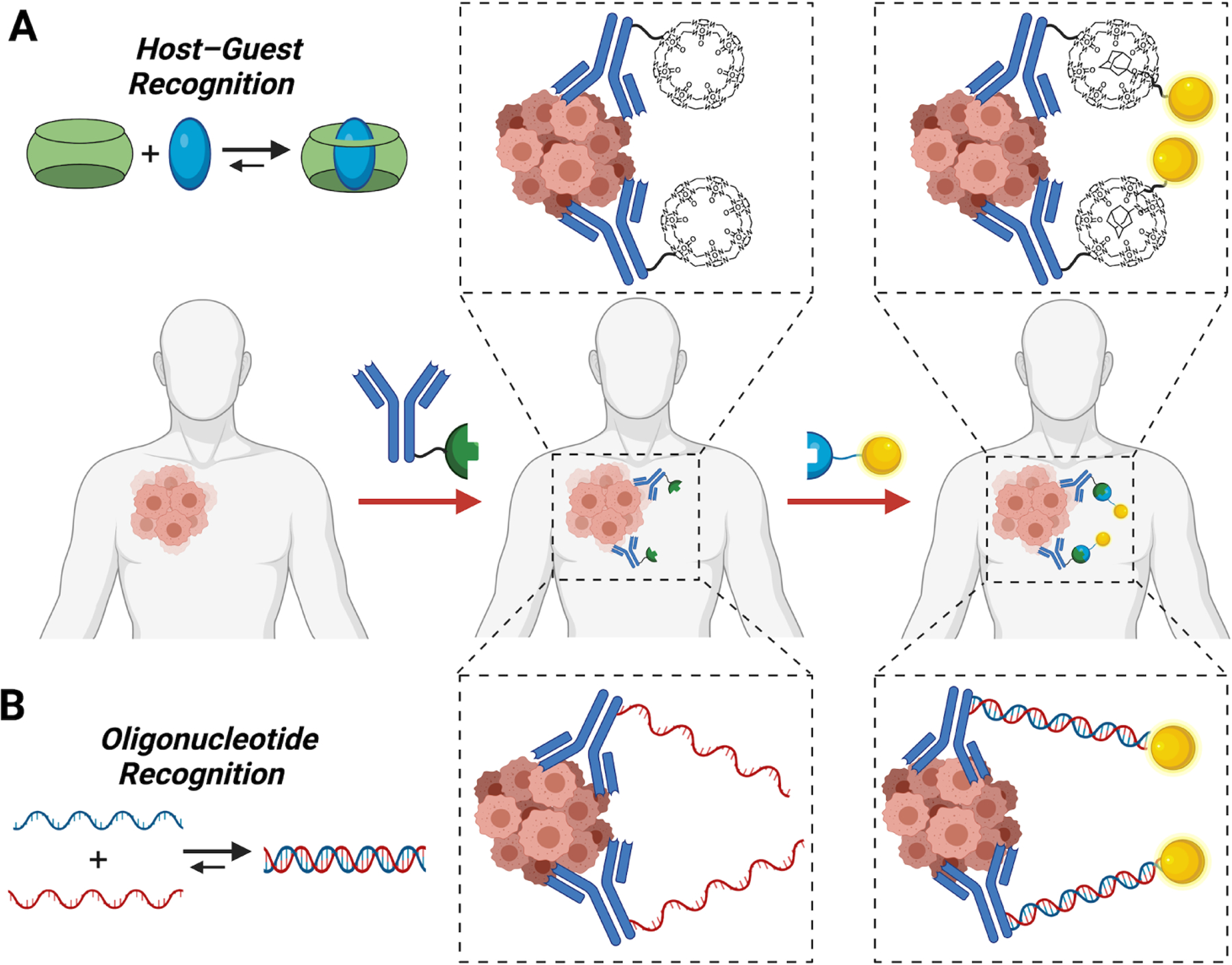 Figure 2: