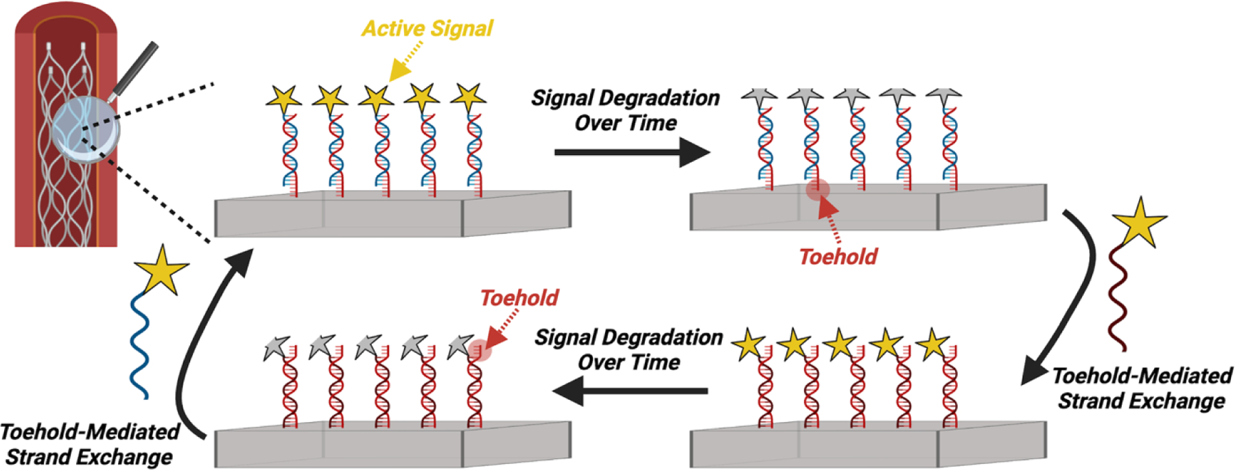 Figure 6: