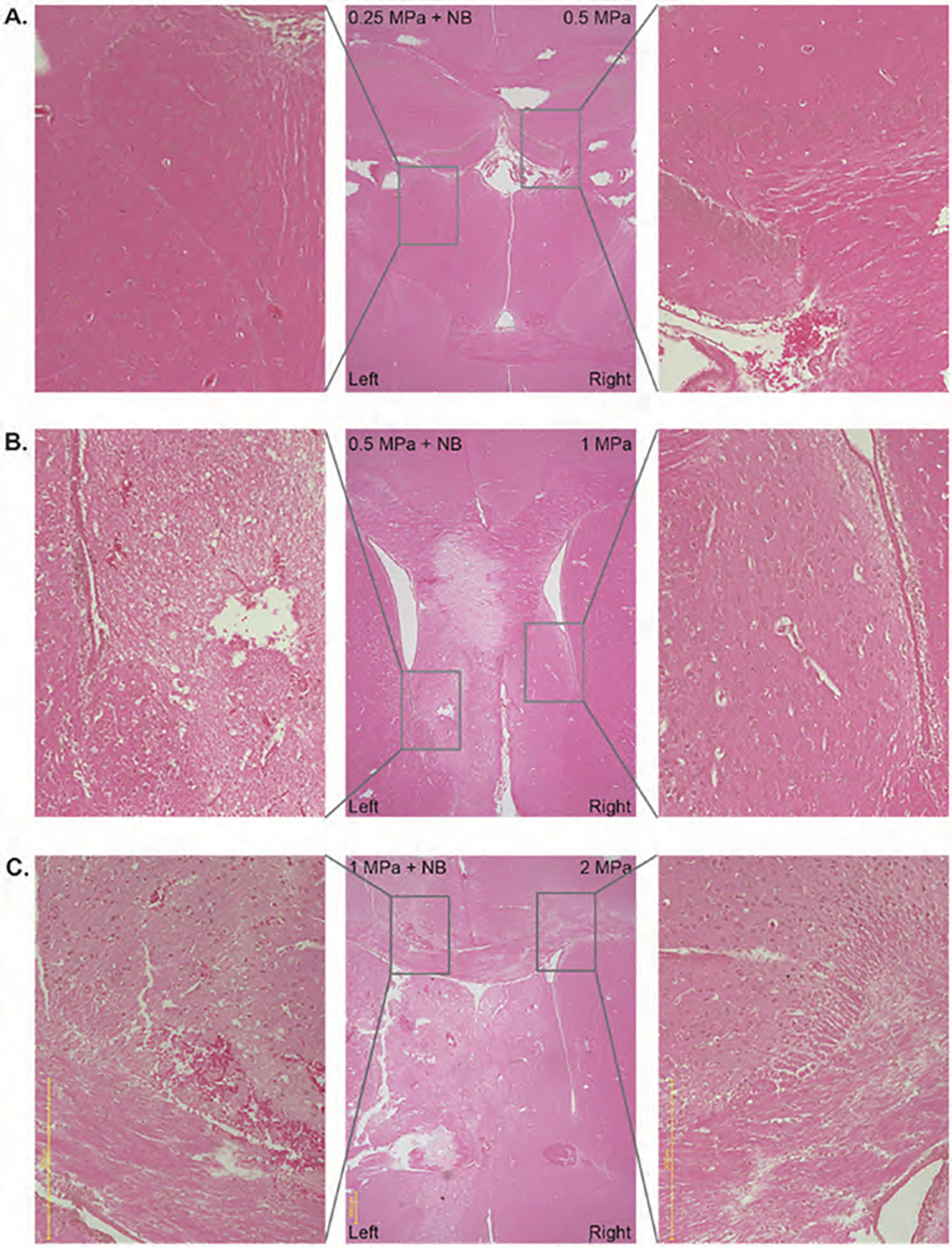 Figure 7.