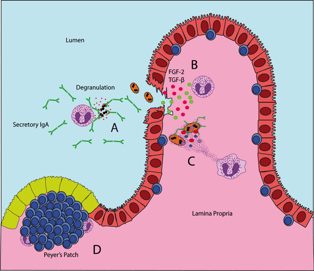 Fig. 3