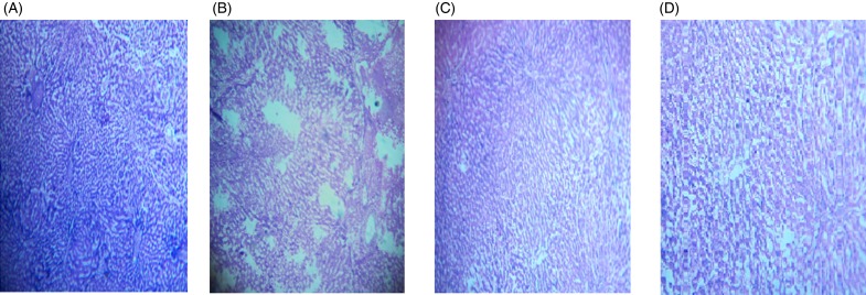 Fig. 8.