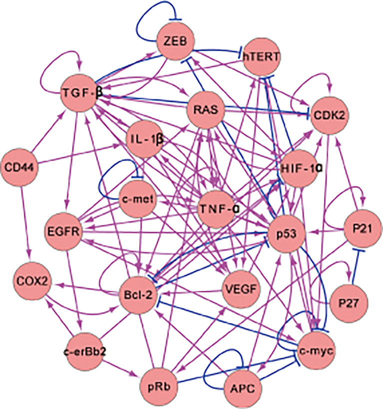 Figure 1