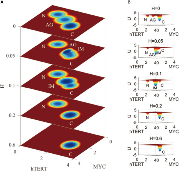 Figure 3