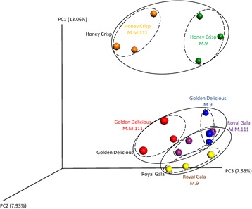 Fig. 6