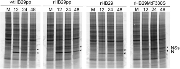 FIG 6