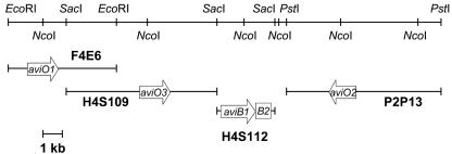 FIG. 2.