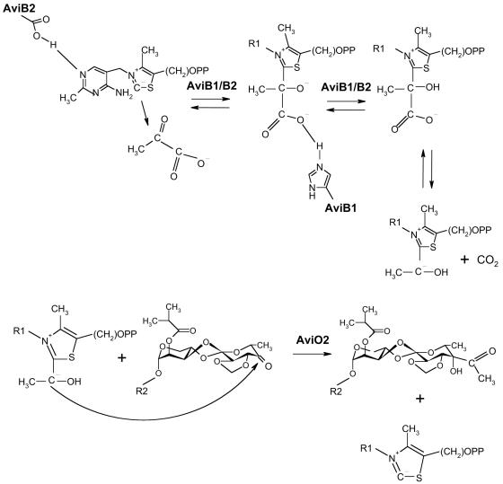 FIG. 5.