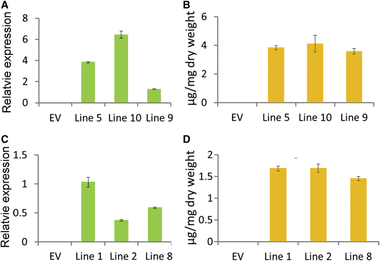 Figure 7