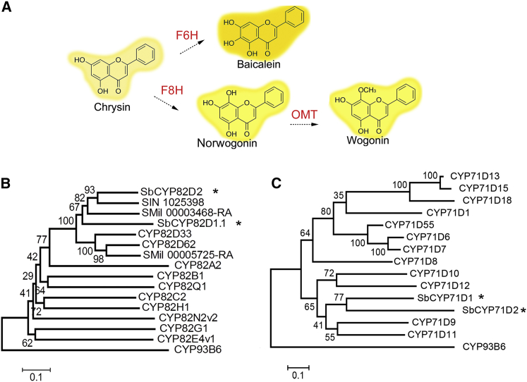 Figure 1