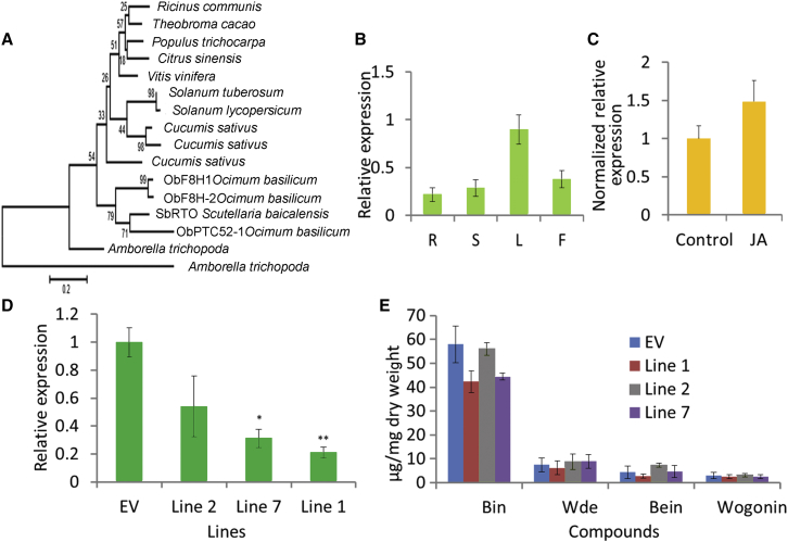 Figure 4