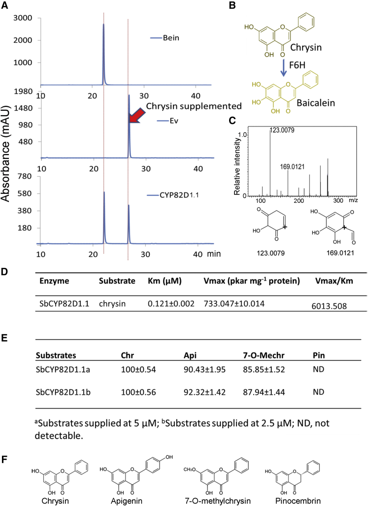 Figure 2