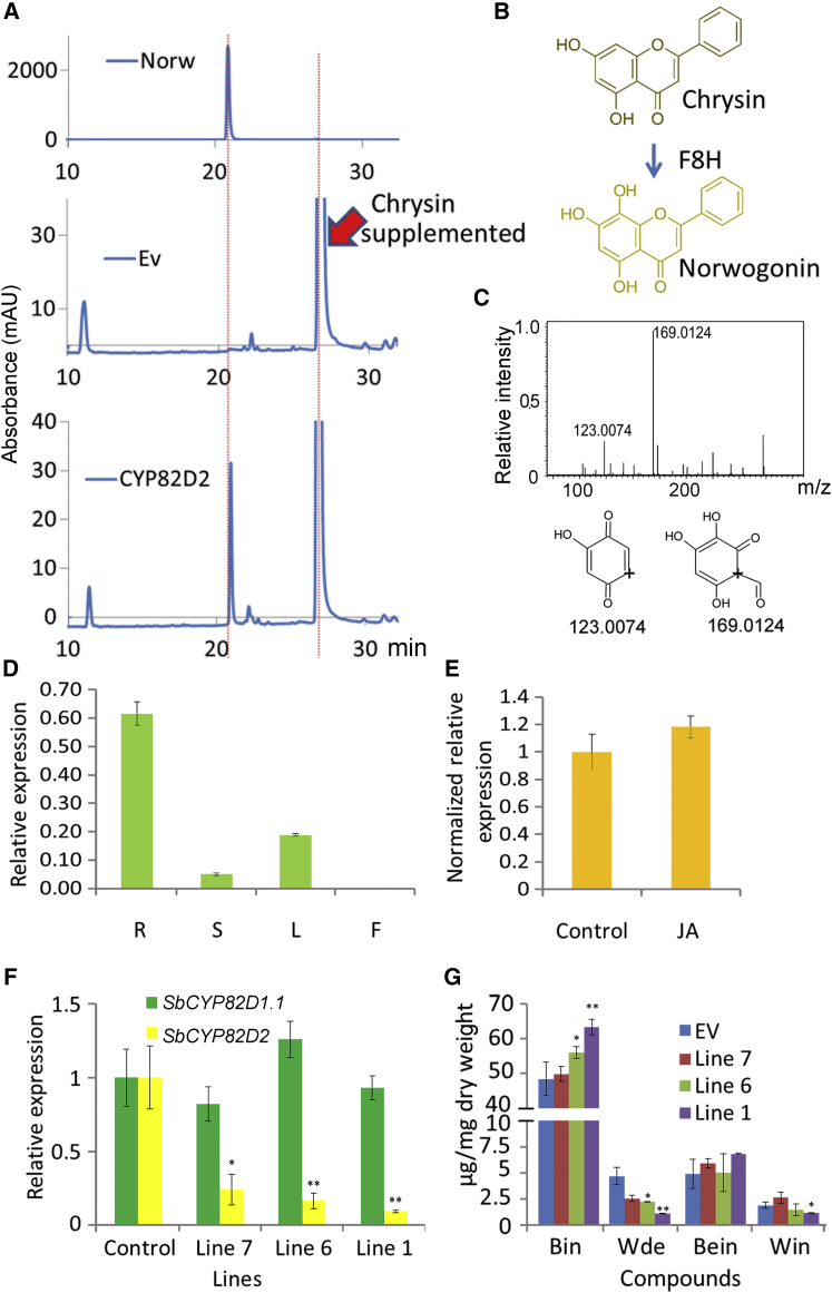 Figure 5