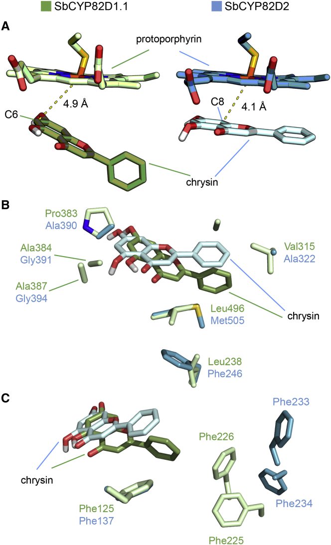 Figure 6