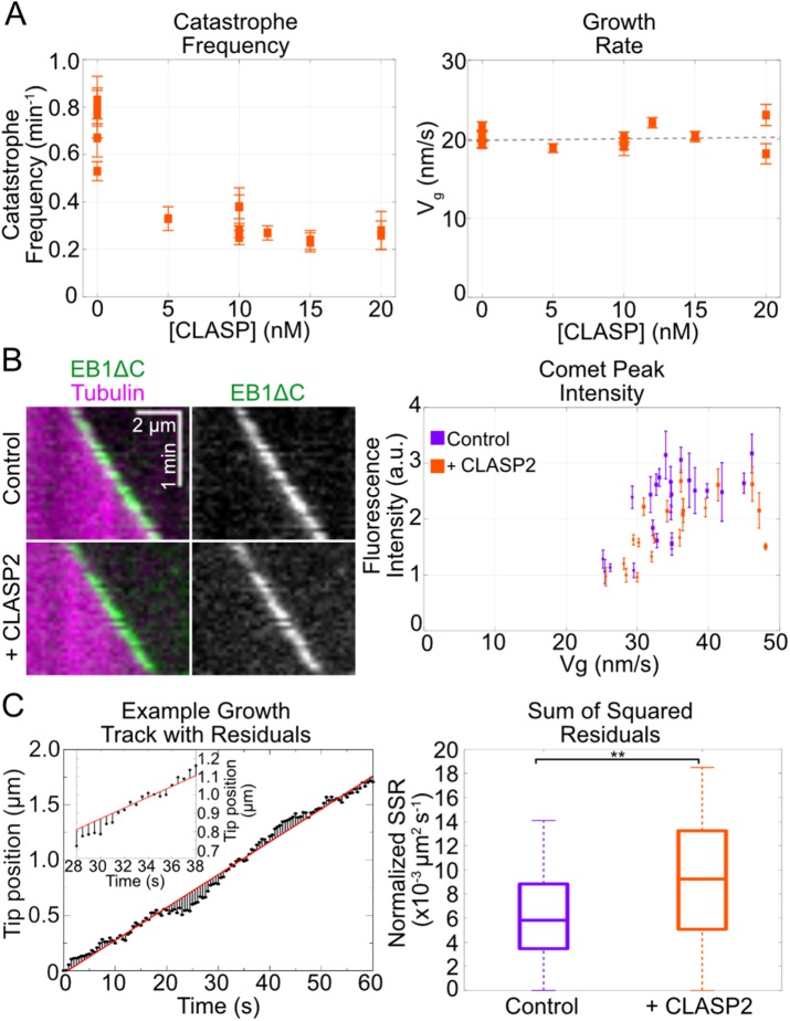 FIGURE 4: