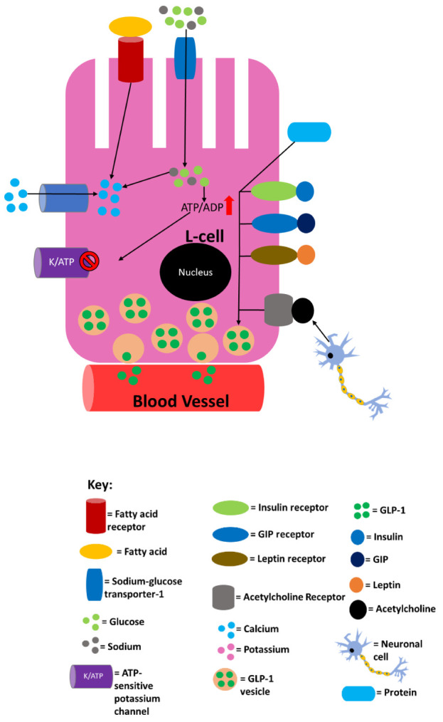 Figure 1. 