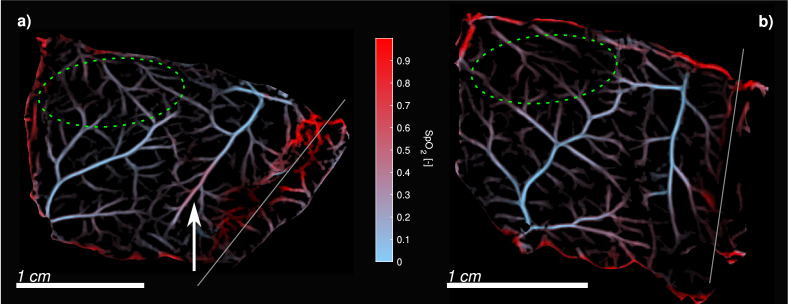 Fig. 6.