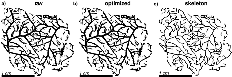 Fig. 5.